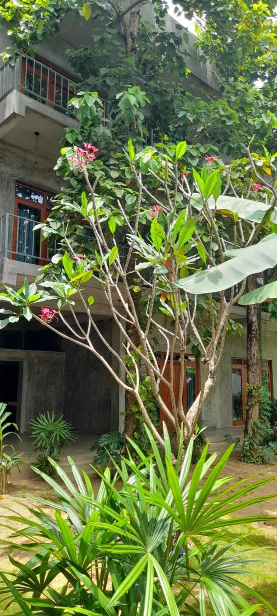 Hotel Surf Gangs Arugambay Arugam Bay Exterior foto